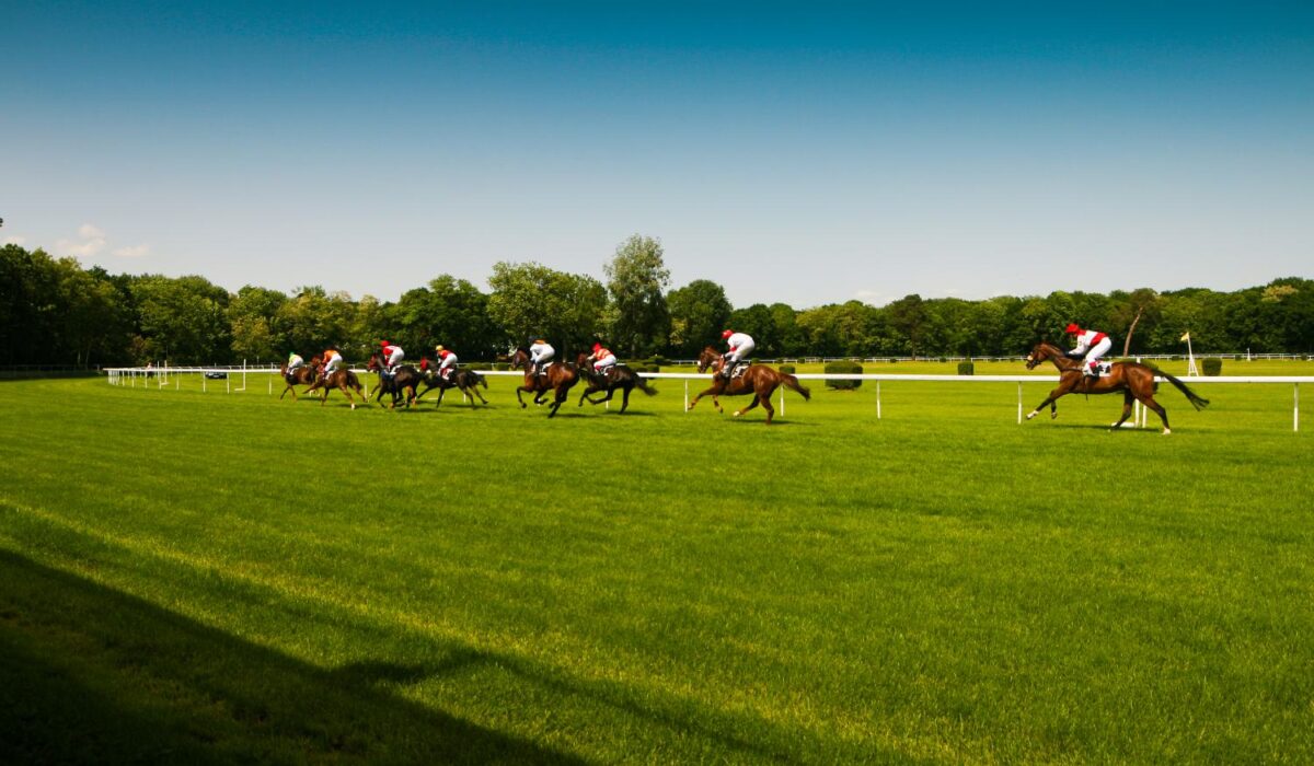 Horse Racing chauffeur